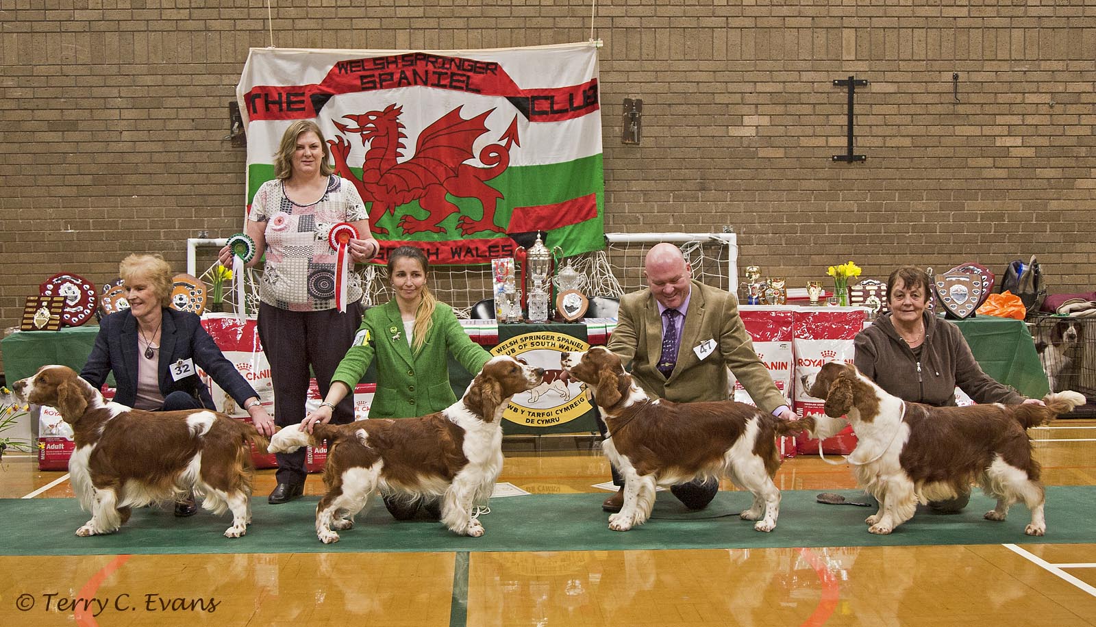 WSSCSW 2016 Champ show Best Dog Lineup