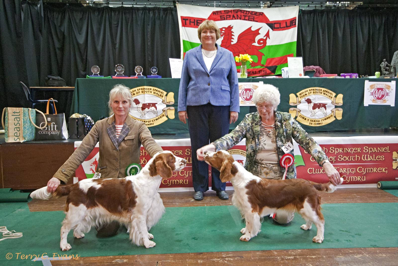 190210 wsscsw open 453