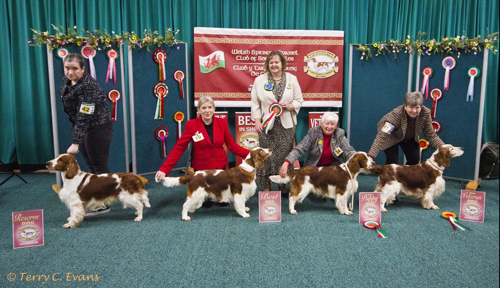 260329 wsscsw show 485 crop