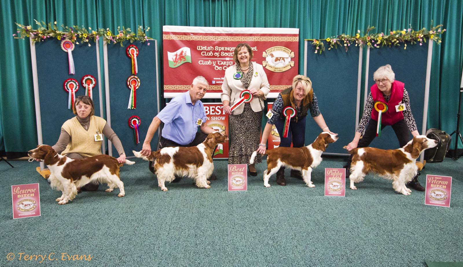 260329 wsscsw show 603 crop