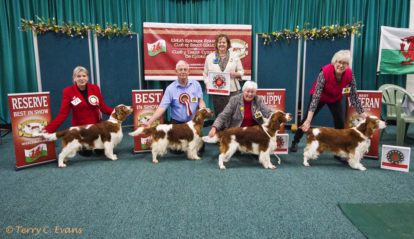 260329 wsscsw show 622 crop