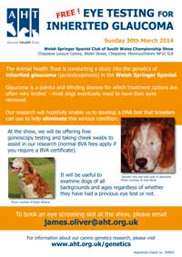 Eye testing poster 200