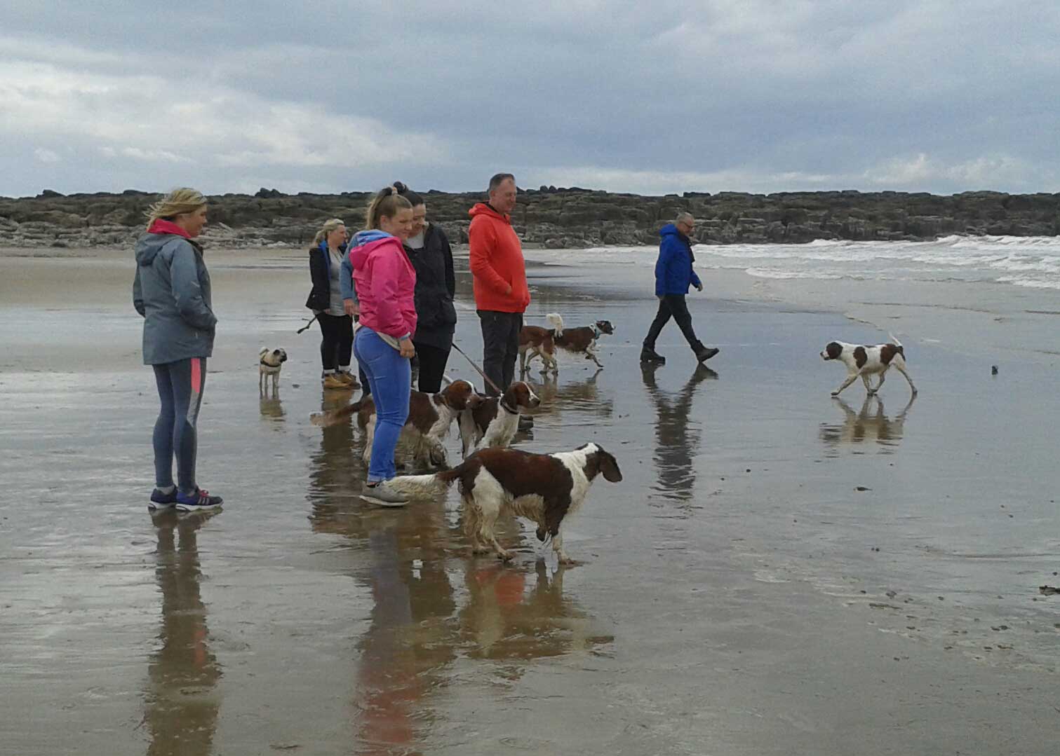 190615 kenfig walk 004 w