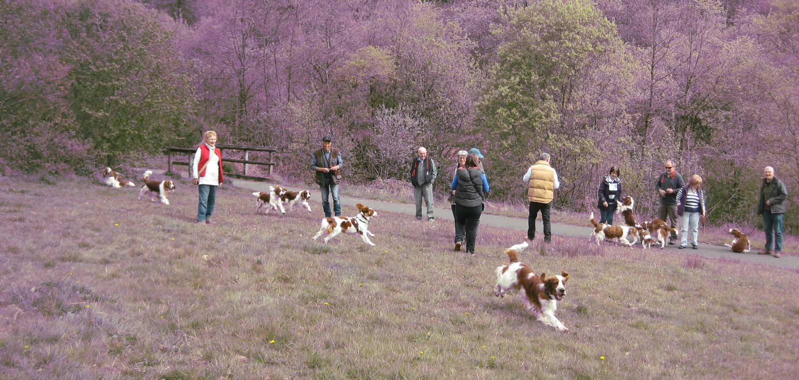 Cwm Darran 2017 048 w