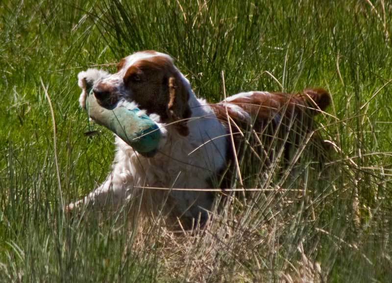 WSSCSW test May13 070