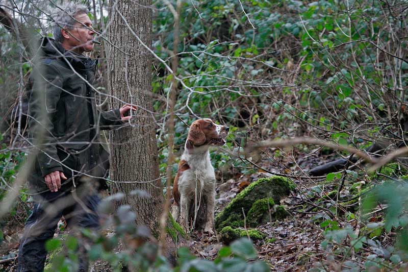 stella_b_800 stella_b_800