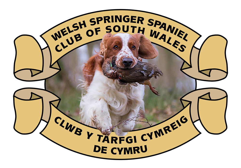 wsscsw gin label b 1000