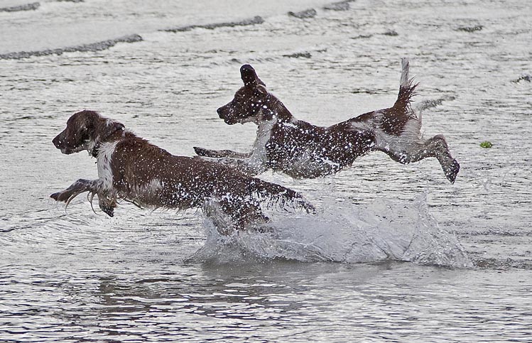 141206 oxwich 021 crop