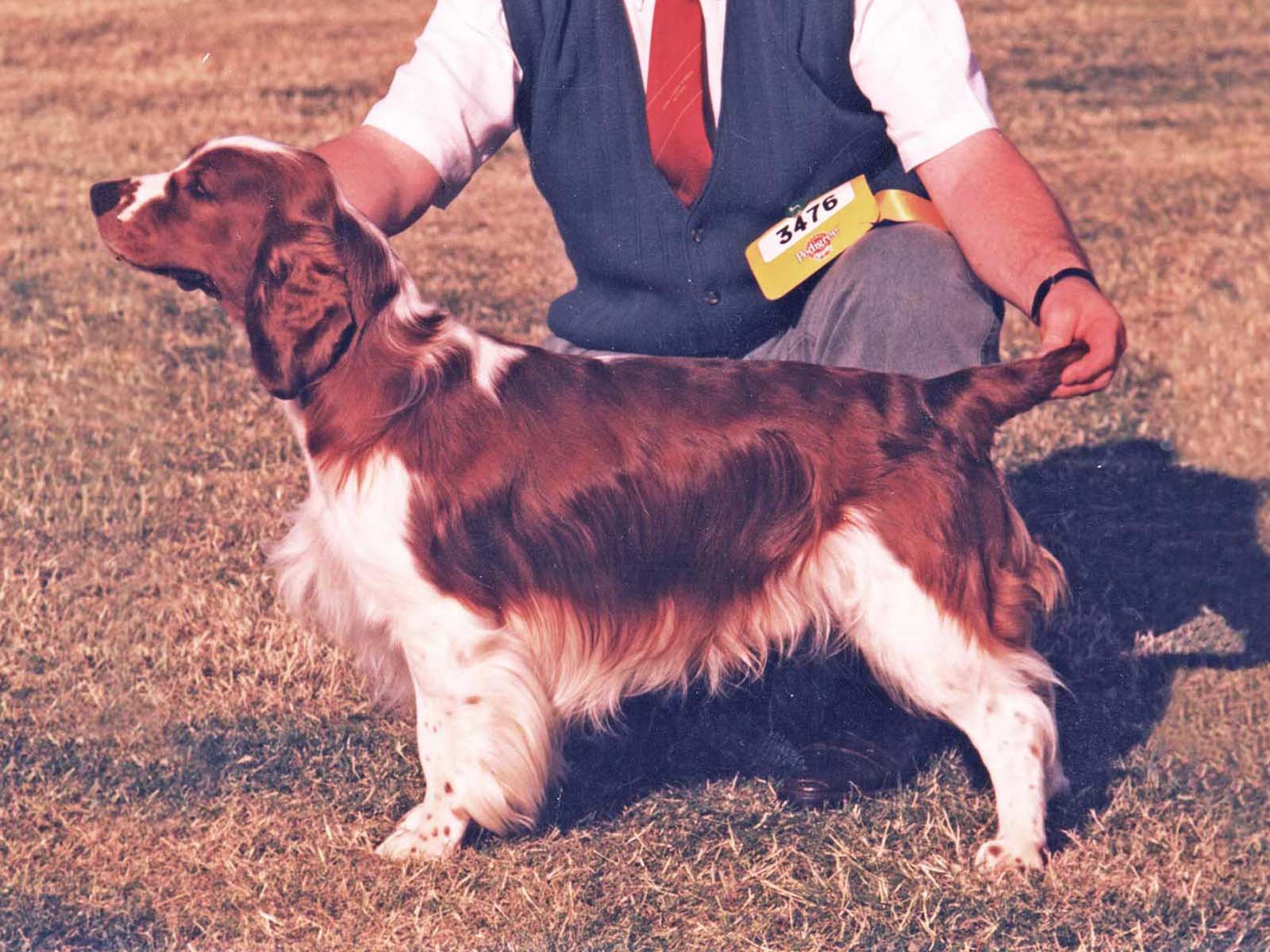 Mynyddmaen Graig Goch 001